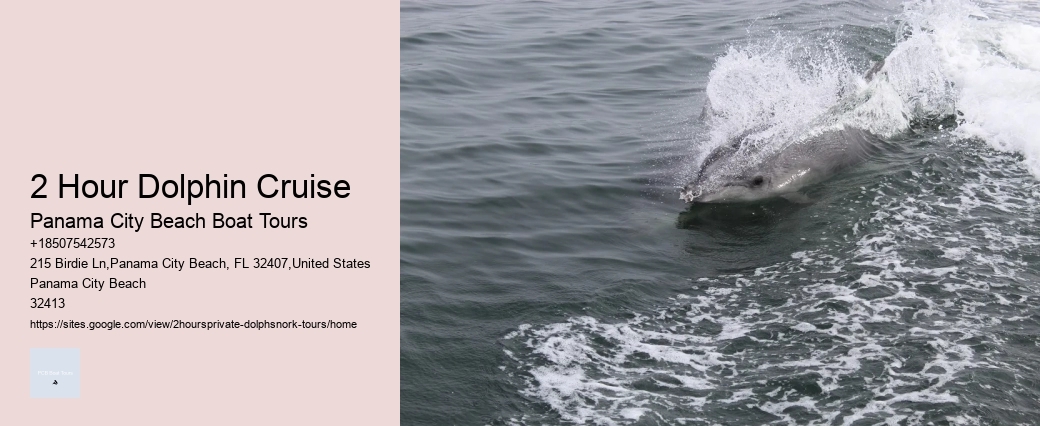 Tour Of Neverland How To Get Snorkeling