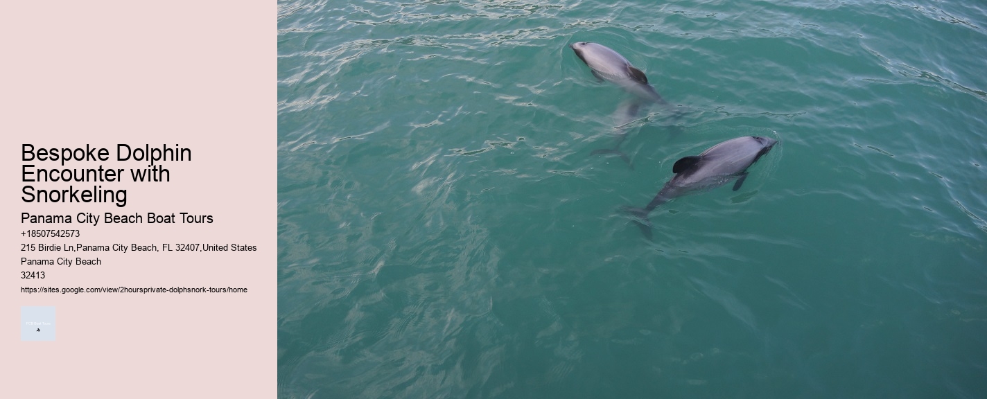 Bespoke Dolphin Encounter with Snorkeling