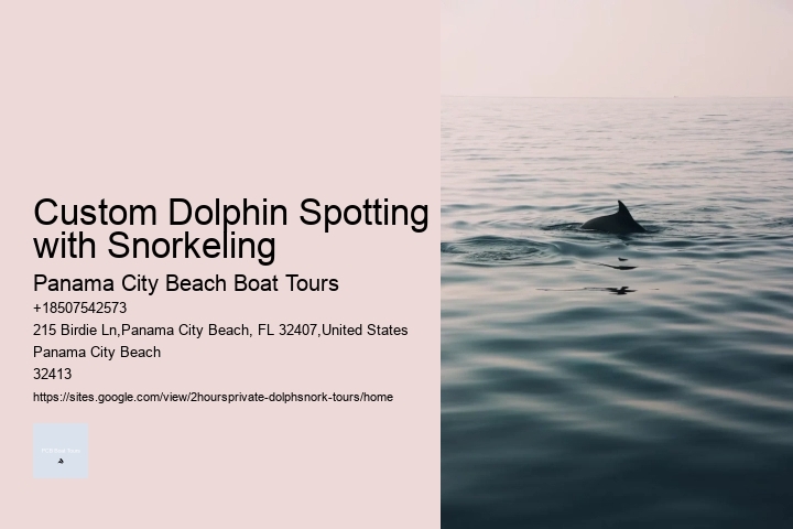 Custom Dolphin Spotting with Snorkeling