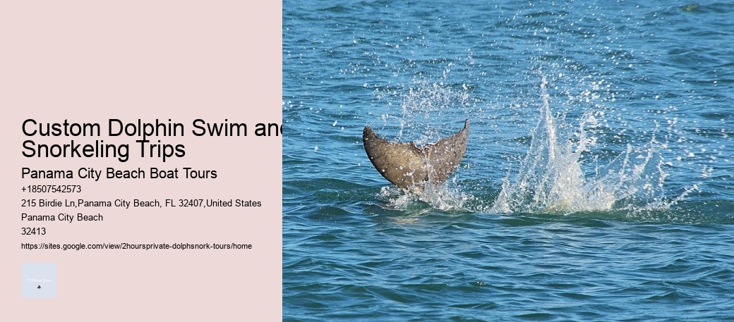 Paradise Dolphin Tours