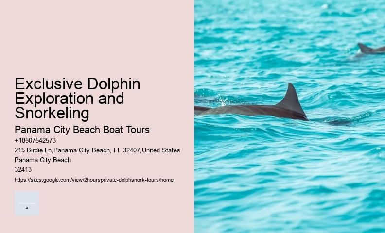 Dolphin And Snorkeling Tours