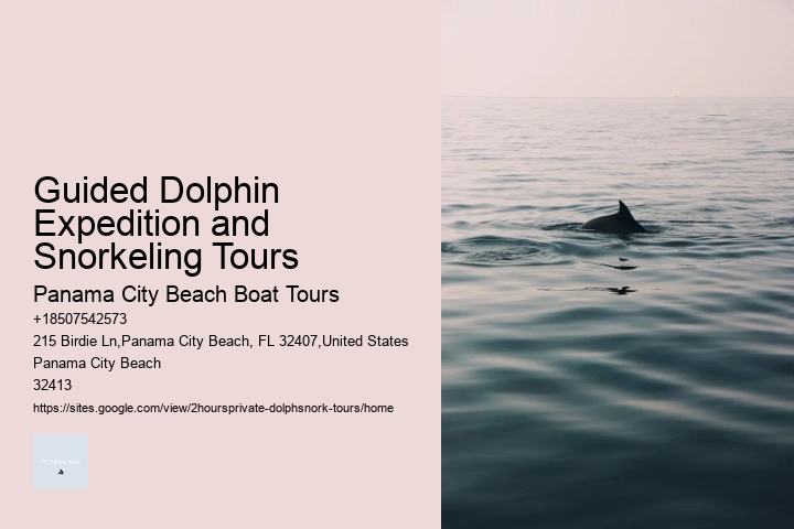 Guided Dolphin Expedition and Snorkeling Tours