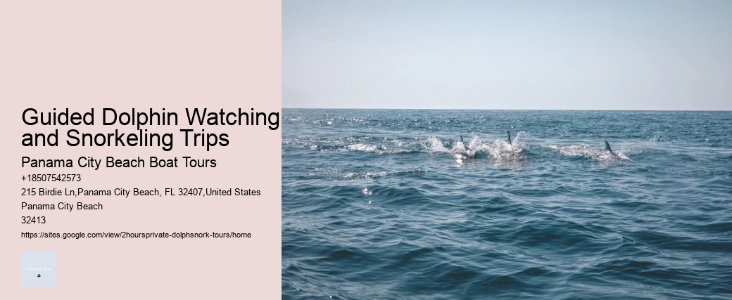 Pier 21 Dolphin Tours Galveston