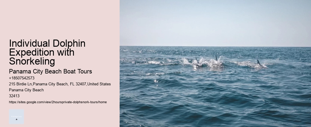 Individual Dolphin Expedition with Snorkeling