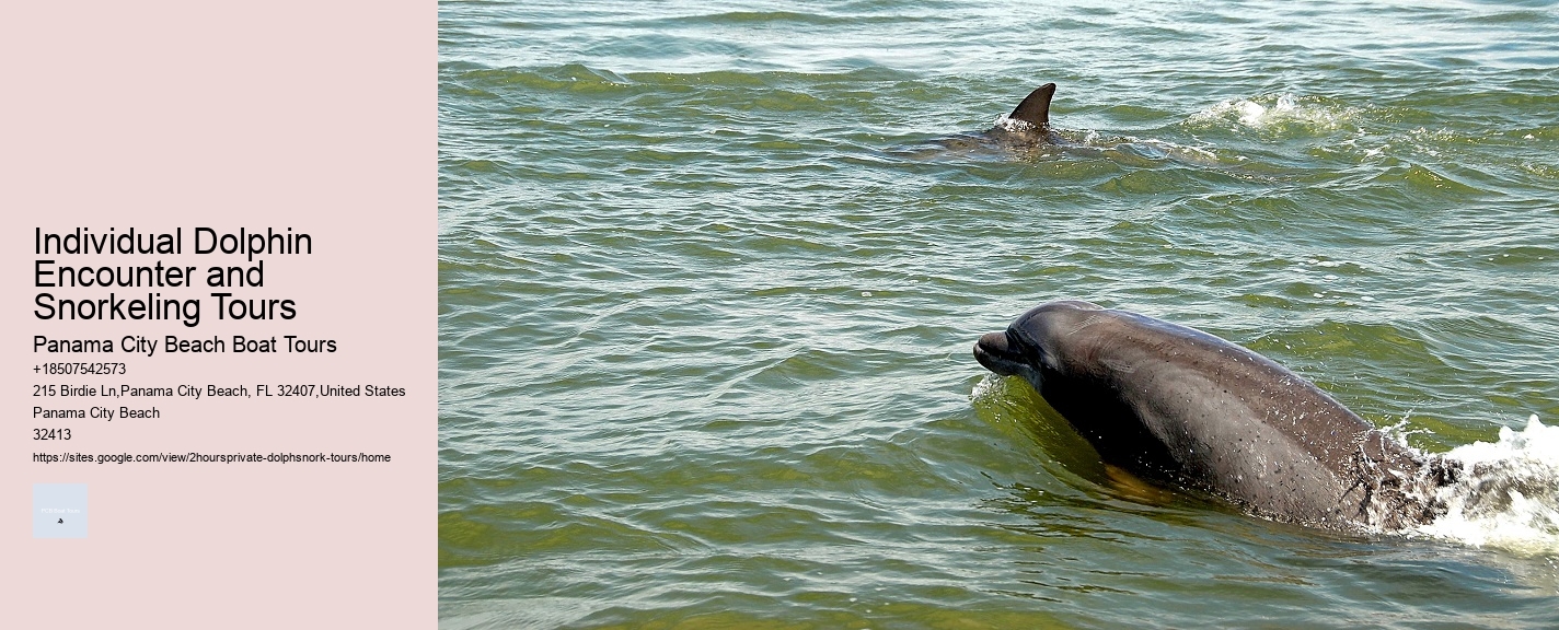 Individual Dolphin Encounter and Snorkeling Tours