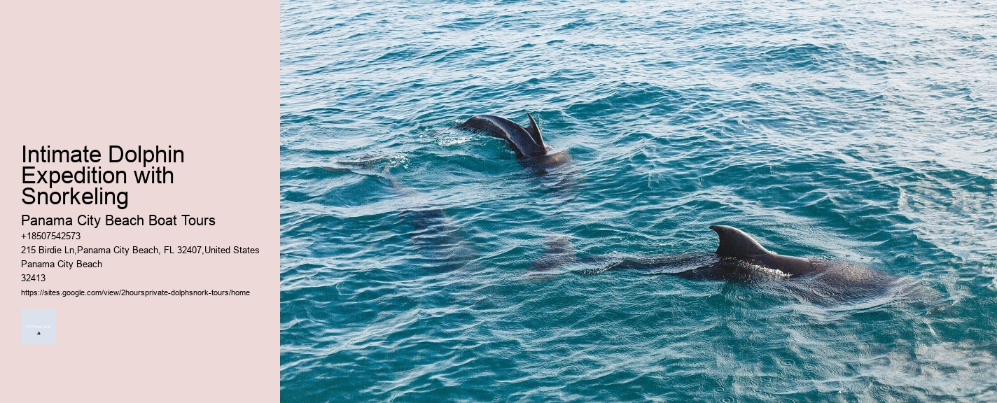 Intimate Dolphin Expedition with Snorkeling