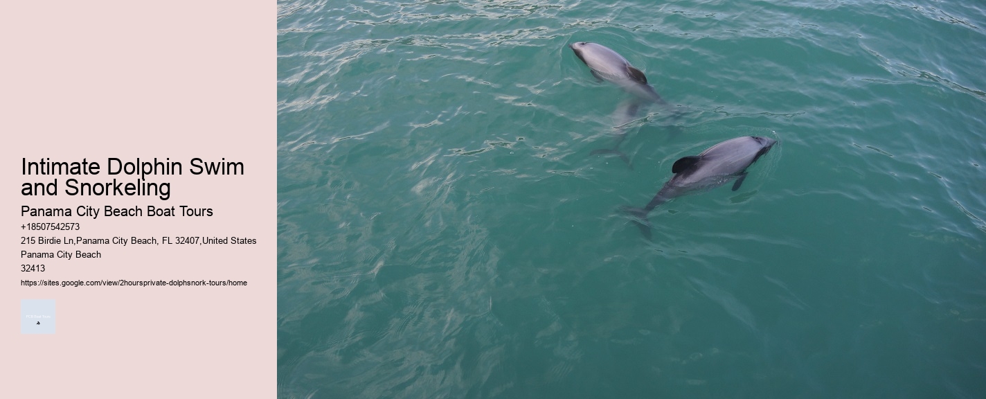 Intimate Dolphin Swim and Snorkeling