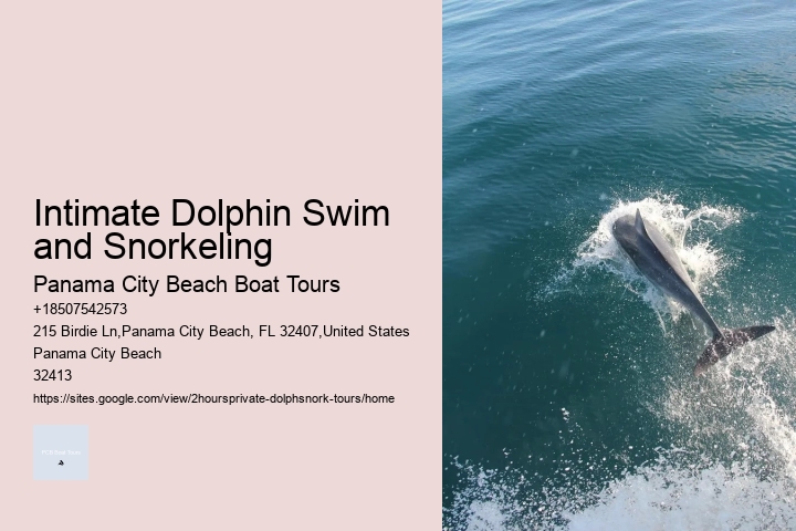 Do You Have To Wear A Wetsuit To Swim With Dolphins