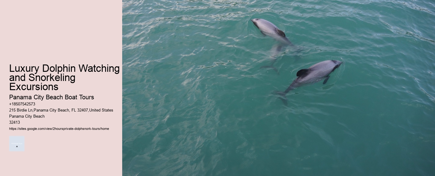 Luxury Dolphin Watching and Snorkeling Excursions