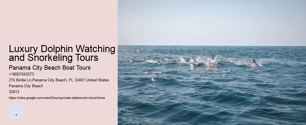 Do Male Dolphins Force Females To Mate