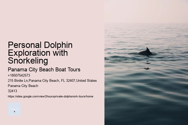 Dolphin Whale Tours