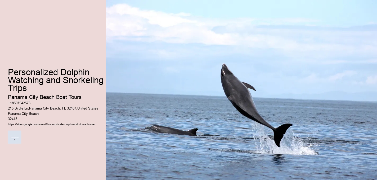 Baywatch Dolphin Tours Reviews