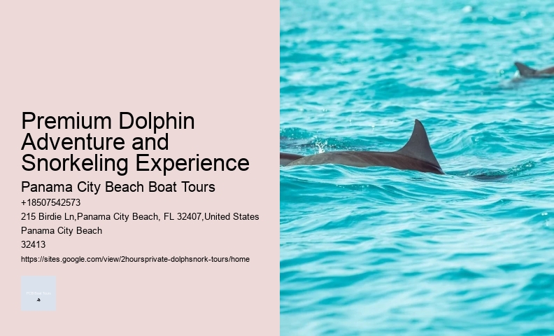 Dolphin Tour And Snorkeling Near Me