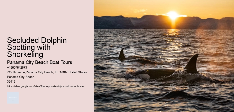 Dolphin Tours Juneau