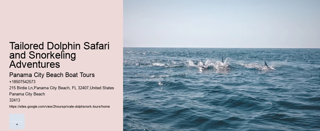 Guided Dolphin Safari with Snorkeling